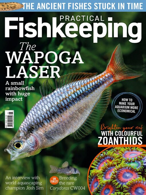 Title details for Practical Fishkeeping by Warners Group Publications Plc - Wait list